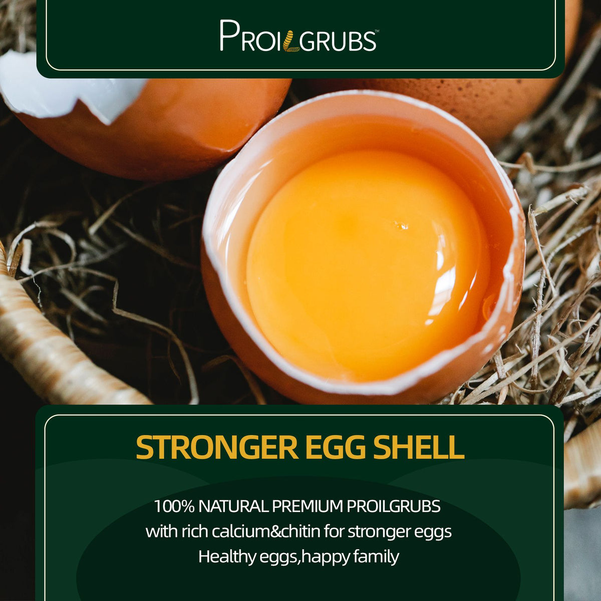 PROILGRUBS 10 LBS(4.55KG) All Natural Dried Black Soldier Fly Larvae Treats- Non-GMO-Dried Grubs for Chickens - High Protein Meal Worms for Chickens, Hens, Birds