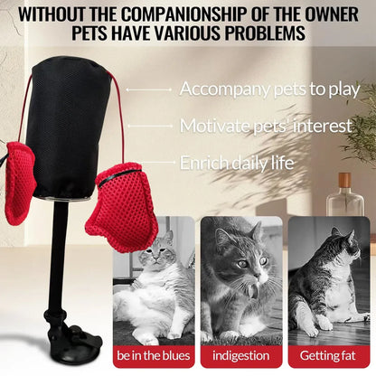 Tease Cat Toys Multi-Functional Cat Boxing Game Interactive Fun Toy for Cats