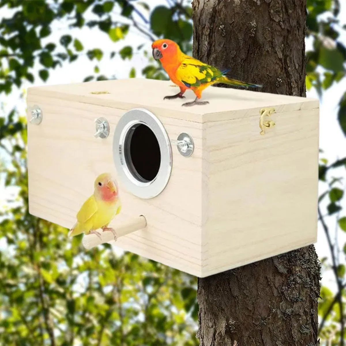 1-Piece Bird Breeding Nest Box with Perch, 29 x 15 x 15 cm