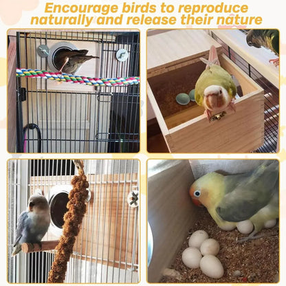 1-Piece Bird Breeding Nest Box with Perch, 29 x 15 x 15 cm