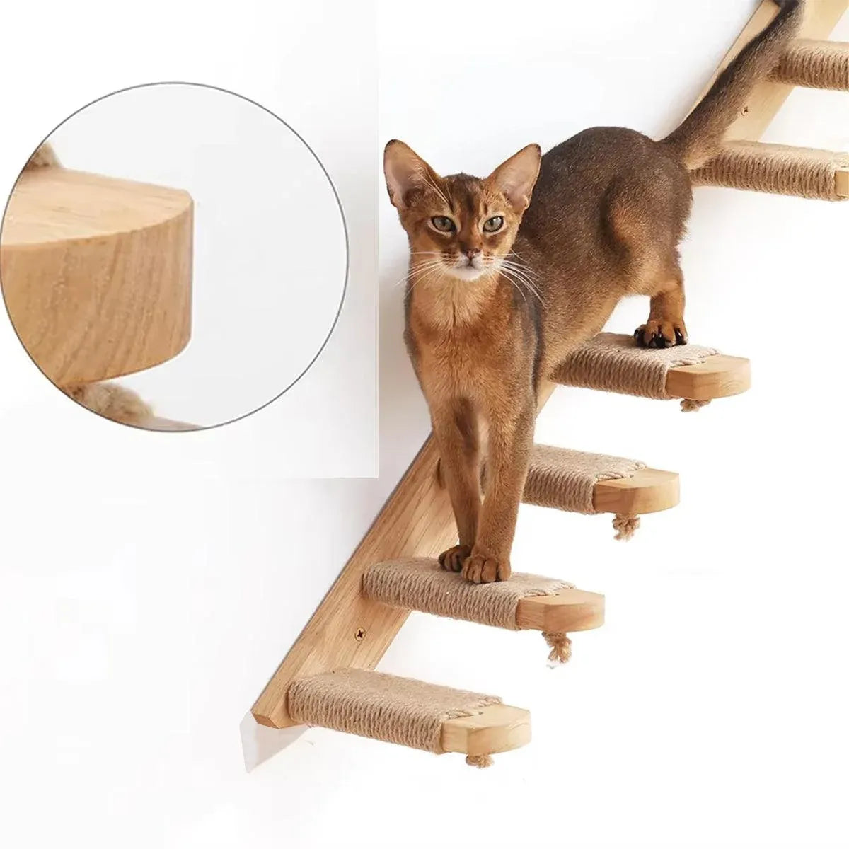 1-Piece Wall-Mounted Cat Climbing Shelf with Four Sisal Steps