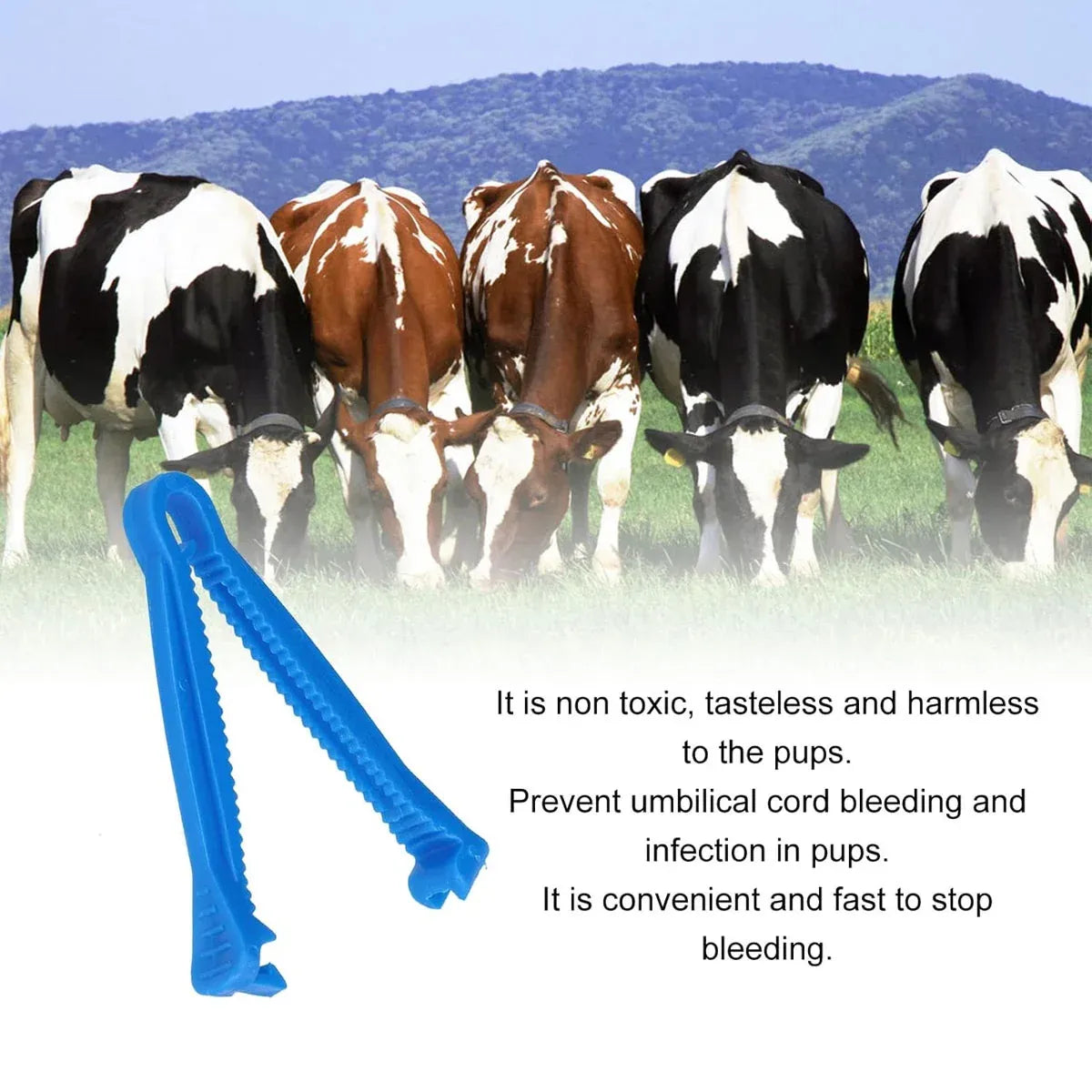 100PCS Piglet Umbilical Cord Clips Animal Clamp Tool for Pig Dog Cow Veterinary