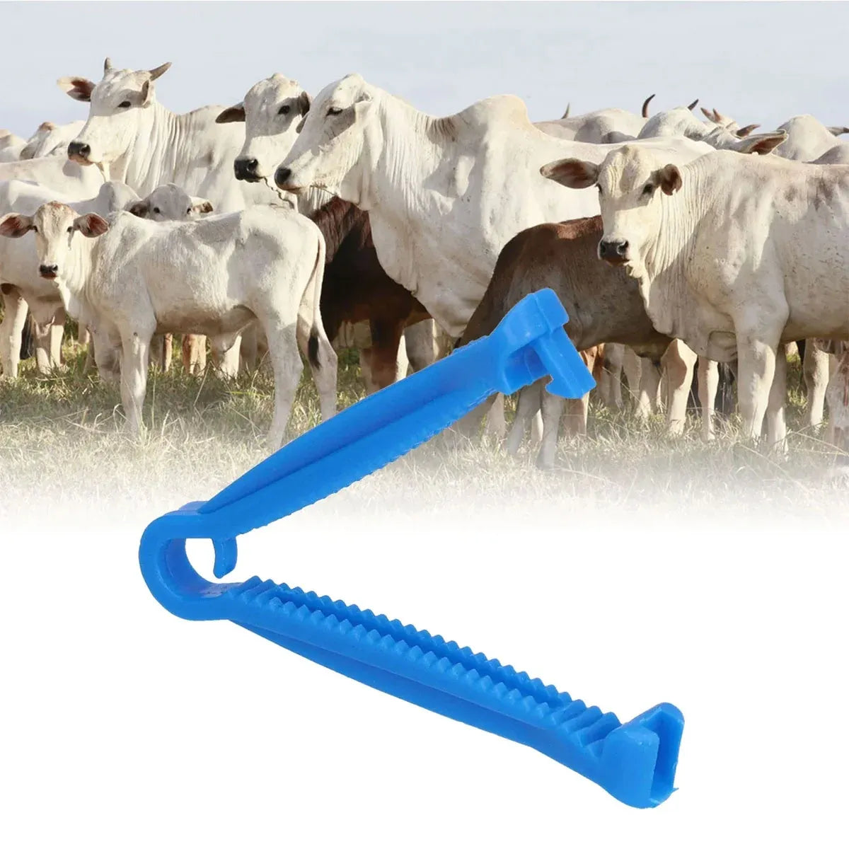100PCS Piglet Umbilical Cord Clips Animal Clamp Tool for Pig Dog Cow Veterinary