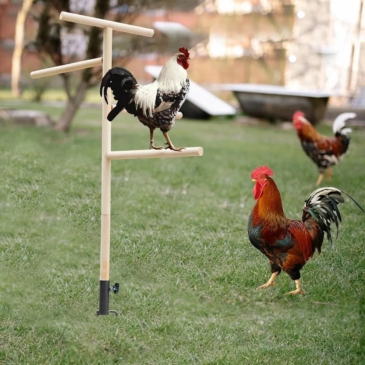 Chicken Climbing Ladder Rack Play Sleep Stand for Poultry Rabbit Small Animal