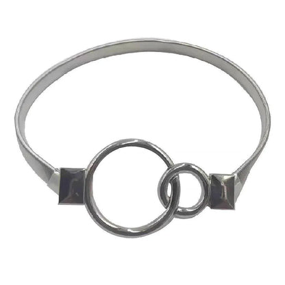 4-Piece Silver Spring Curtain Tieback Set
