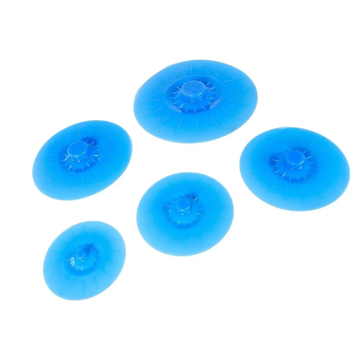 5-Piece Blue Food Cover Set in Assorted Sizes