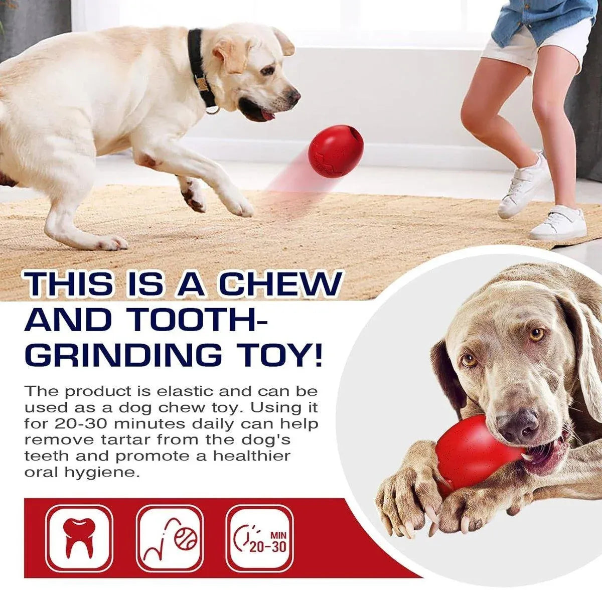 Licking Dog Gnawing Toy Slow Feeder Dinosaur Eggs Interactive Slow Food Dog Toy - Black