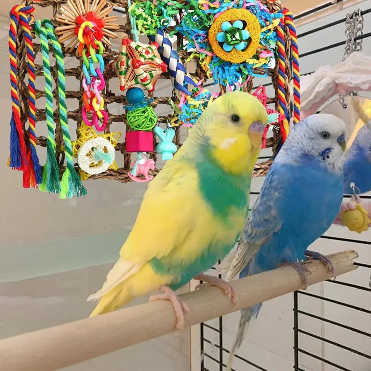 1-Piece Multicolour Bird Cage Climbing Net Toy, 28 x 21 cm