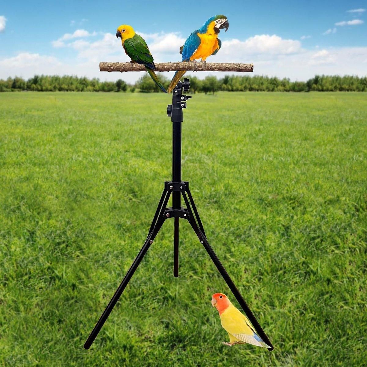 1-Piece Height-Adjustable Bird Perch Stand with Tripod Base