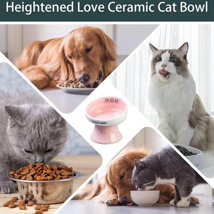 Tall Raised Ceramic Pet Bowl for Cats and Small Dogs in Blue or Pink - Blue