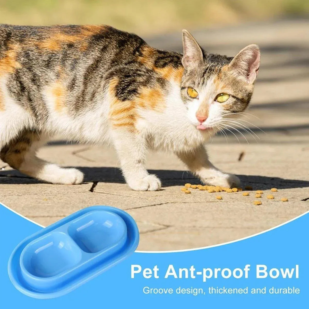 1-Piece Blue Double-Compartment Pet Feeding Bowl