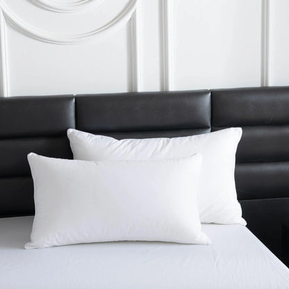 1 White Pillow Insert, 48 x 74 cm