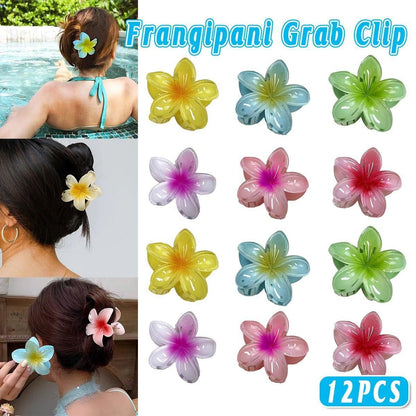 12-Piece Assorted Colour Frangipani Hair Clip Set
