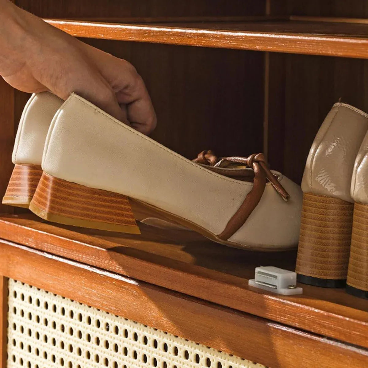 1-Piece Brown Shoe Storage Cabinet, 60 x 32 x 73 cm
